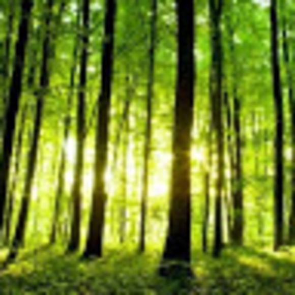 Meet your Posher, Samuel - Picture 1 of 1